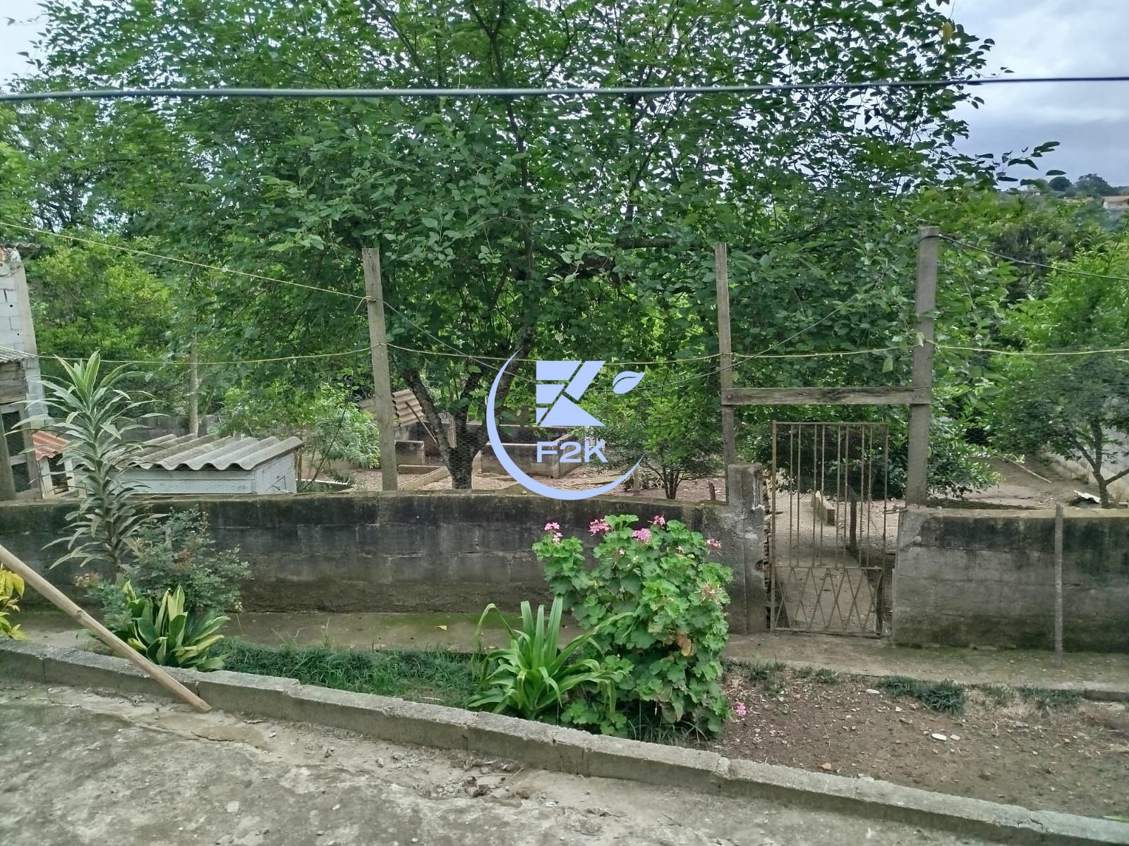 Chácara, 3 quartos, 2000 m² - Foto 4