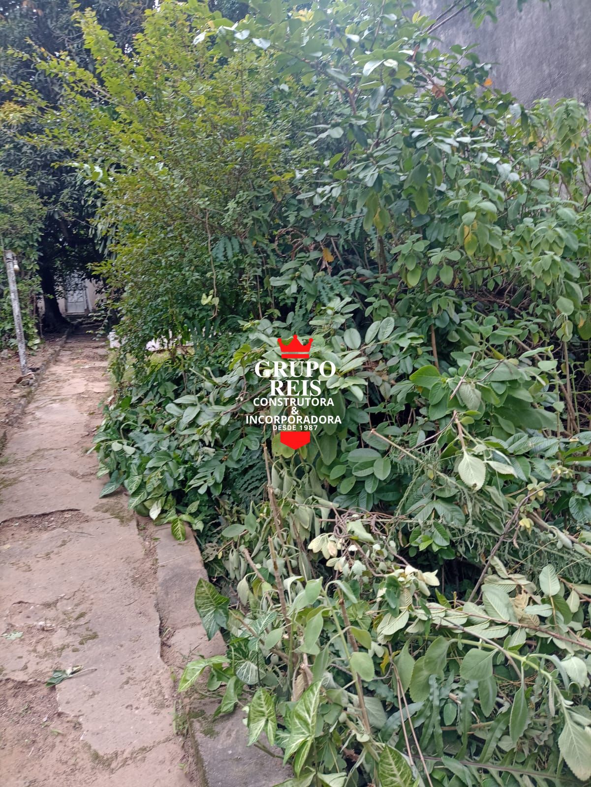 Terreno, 350 m² - Foto 5