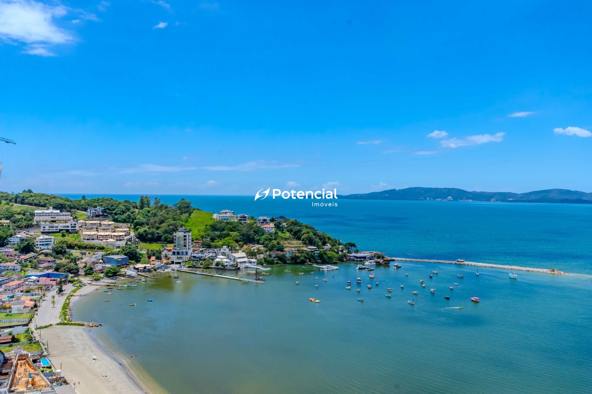 Magnólia vista Magnólia vista