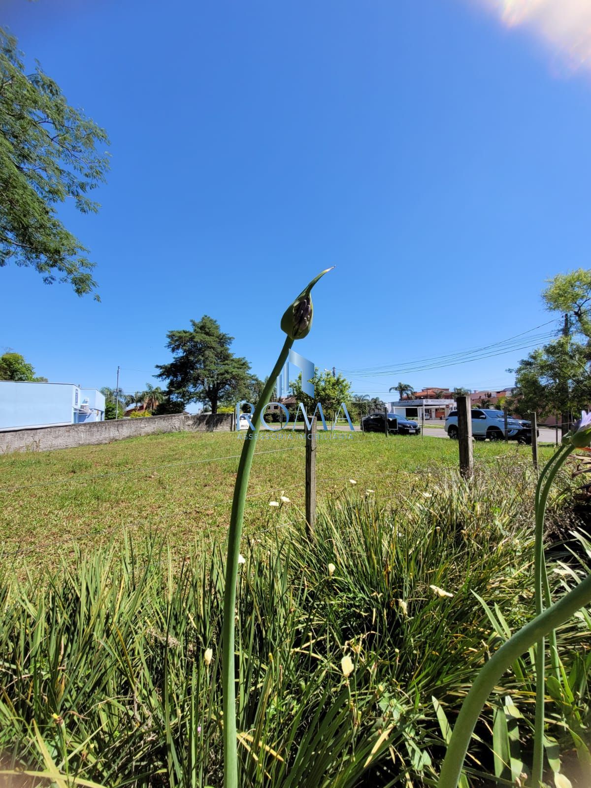 Terreno, 621 m² - Foto 3