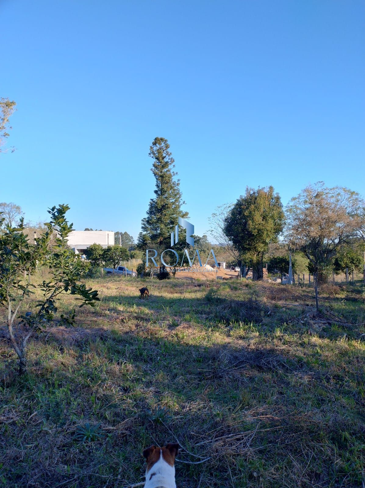 Terreno, 1200 m² - Foto 6