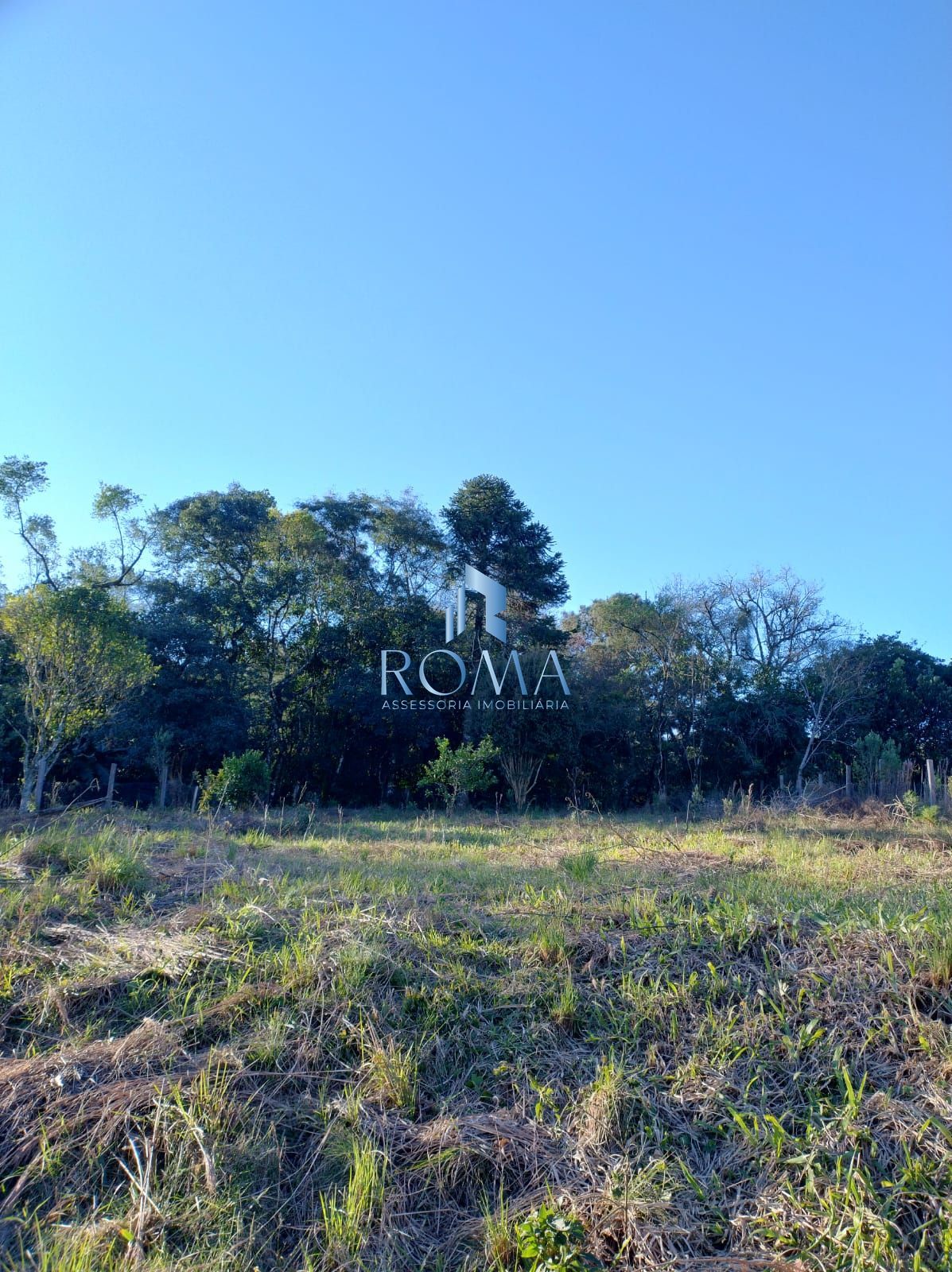 Terreno, 1200 m² - Foto 7