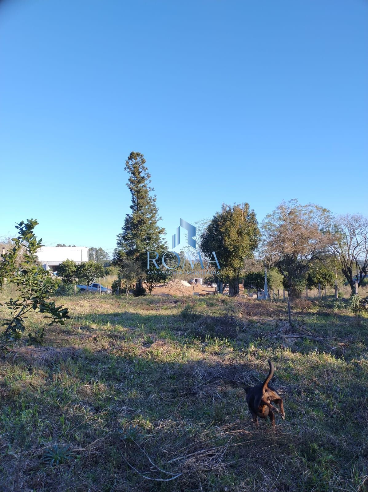 Terreno, 1200 m² - Foto 10