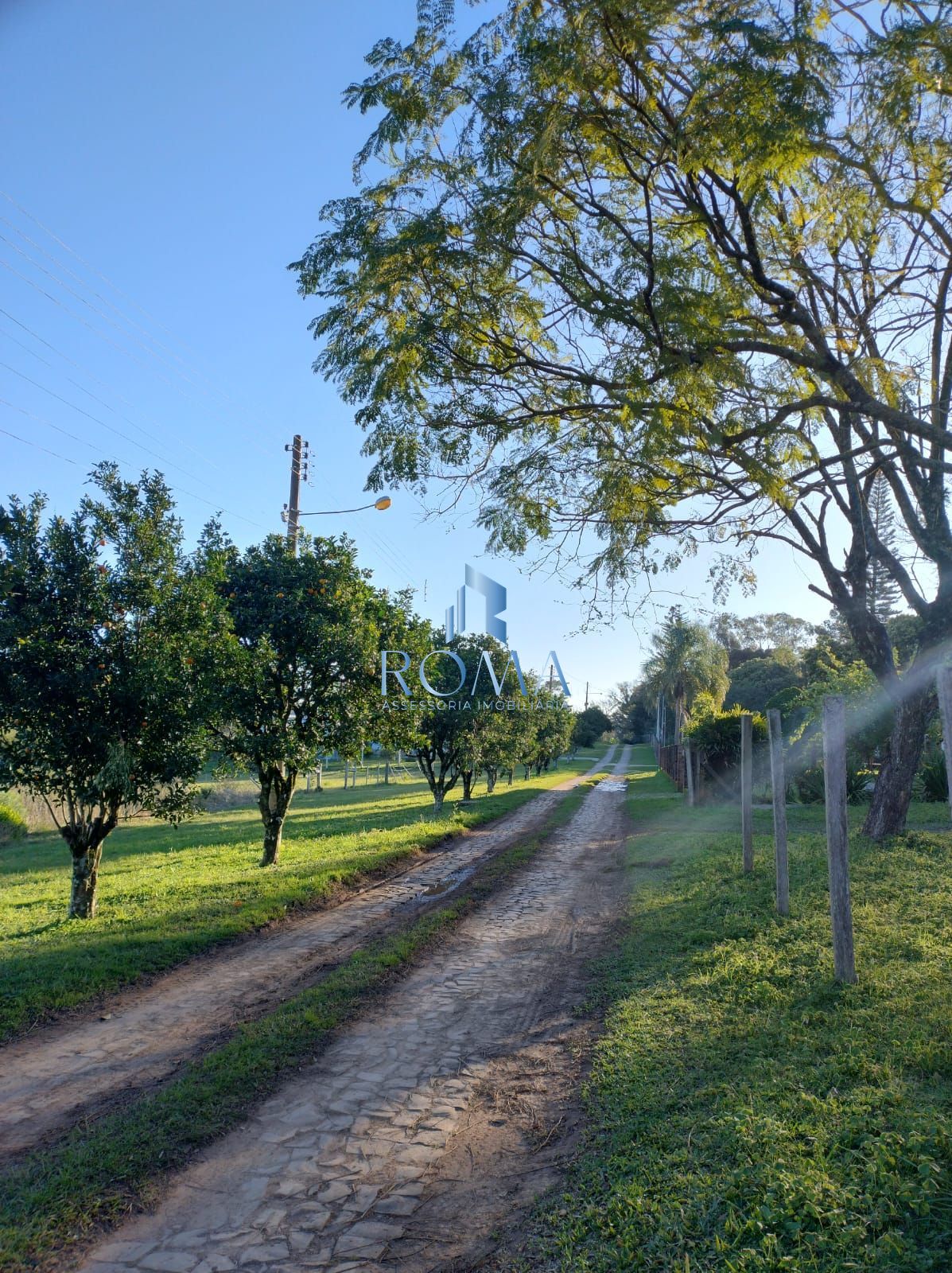 Terreno, 1200 m² - Foto 4