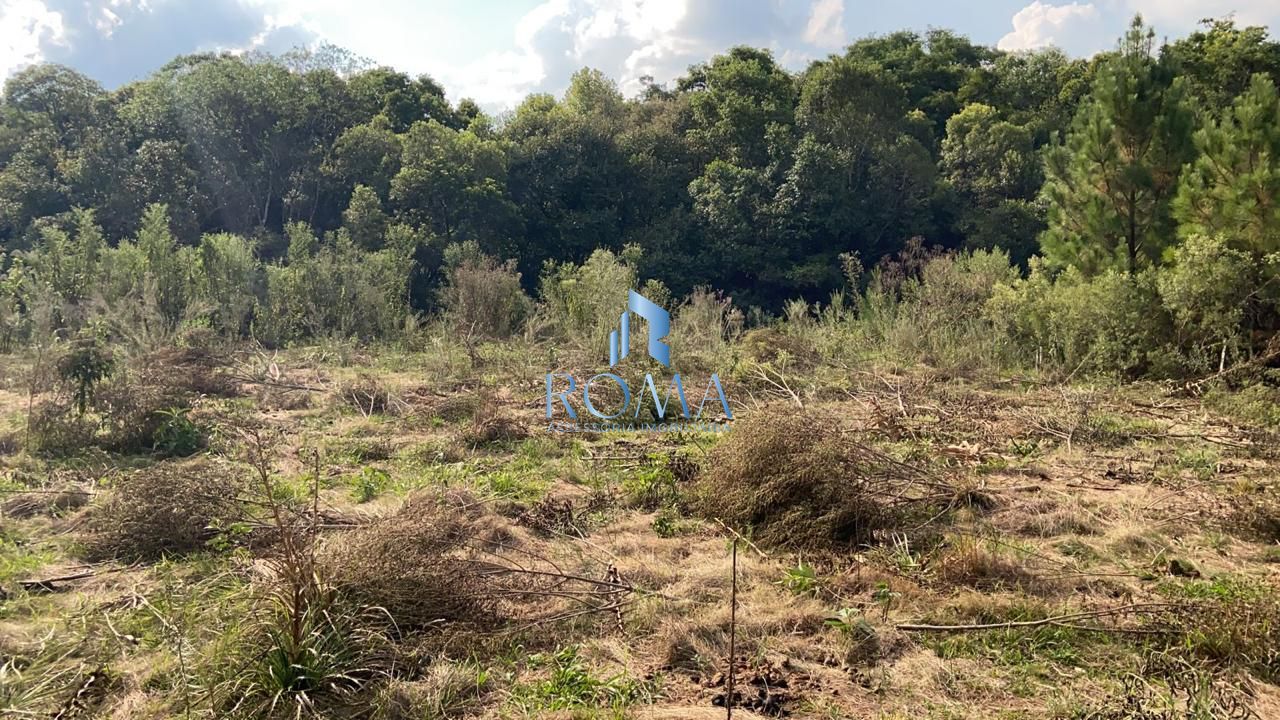 Terreno, 2000 m² - Foto 12