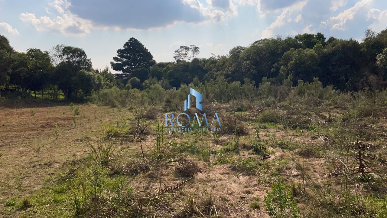 Terreno, 2000 m² - Foto 7