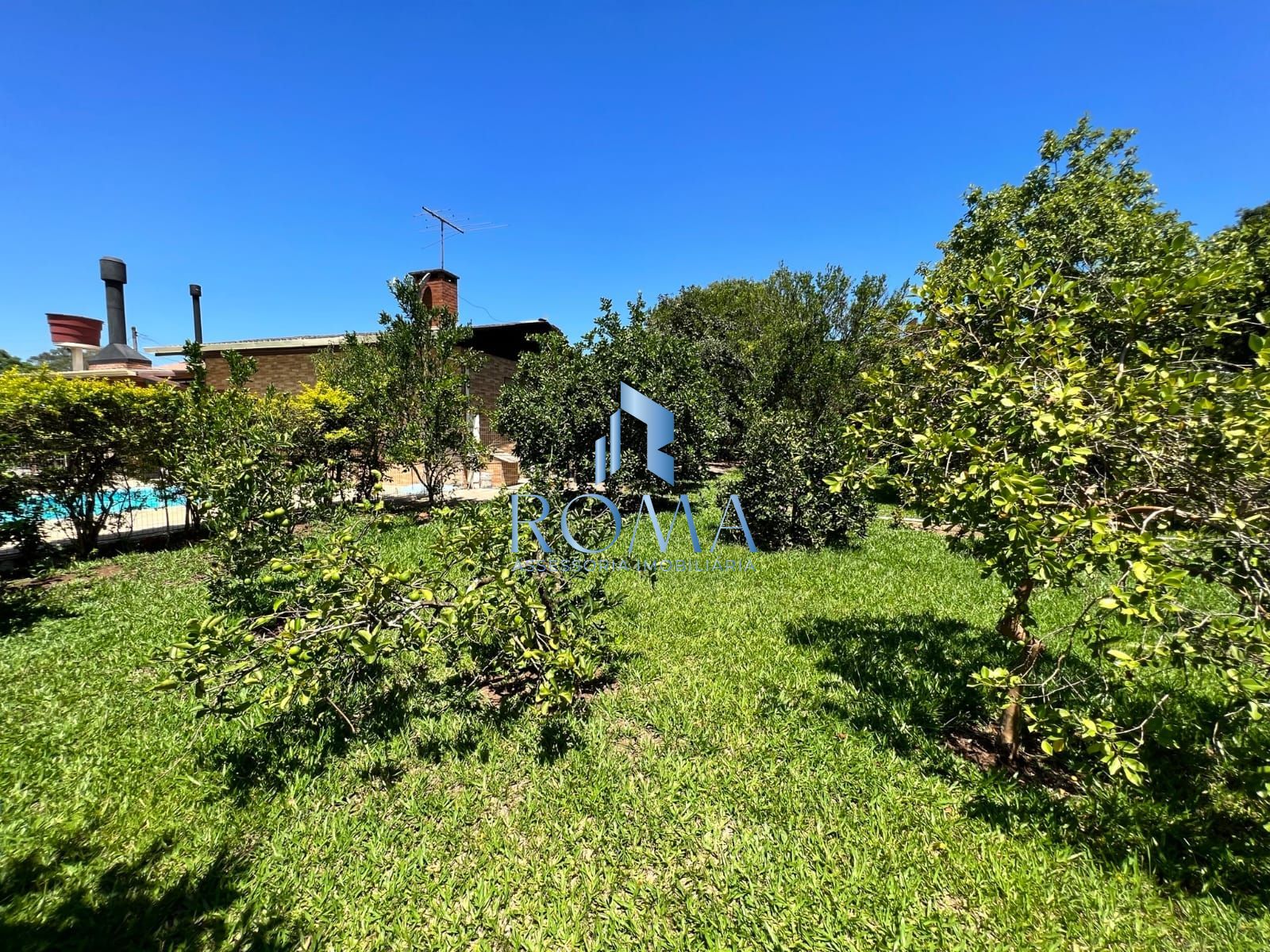 Chácara, 3 quartos, 5000 m² - Foto 17