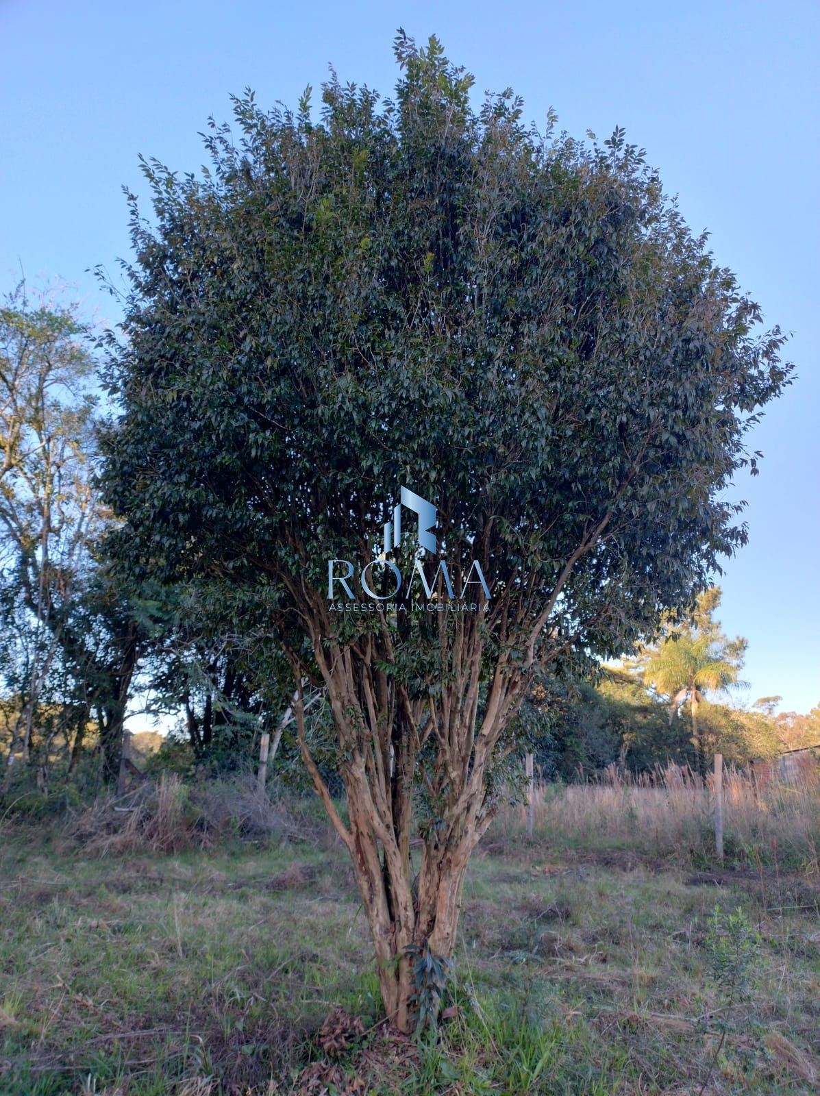 Terreno, 1200 m² - Foto 9