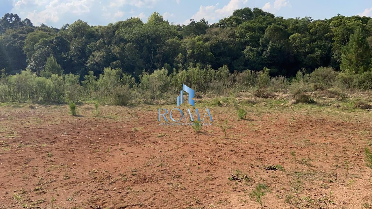 Terreno, 2000 m² - Foto 8