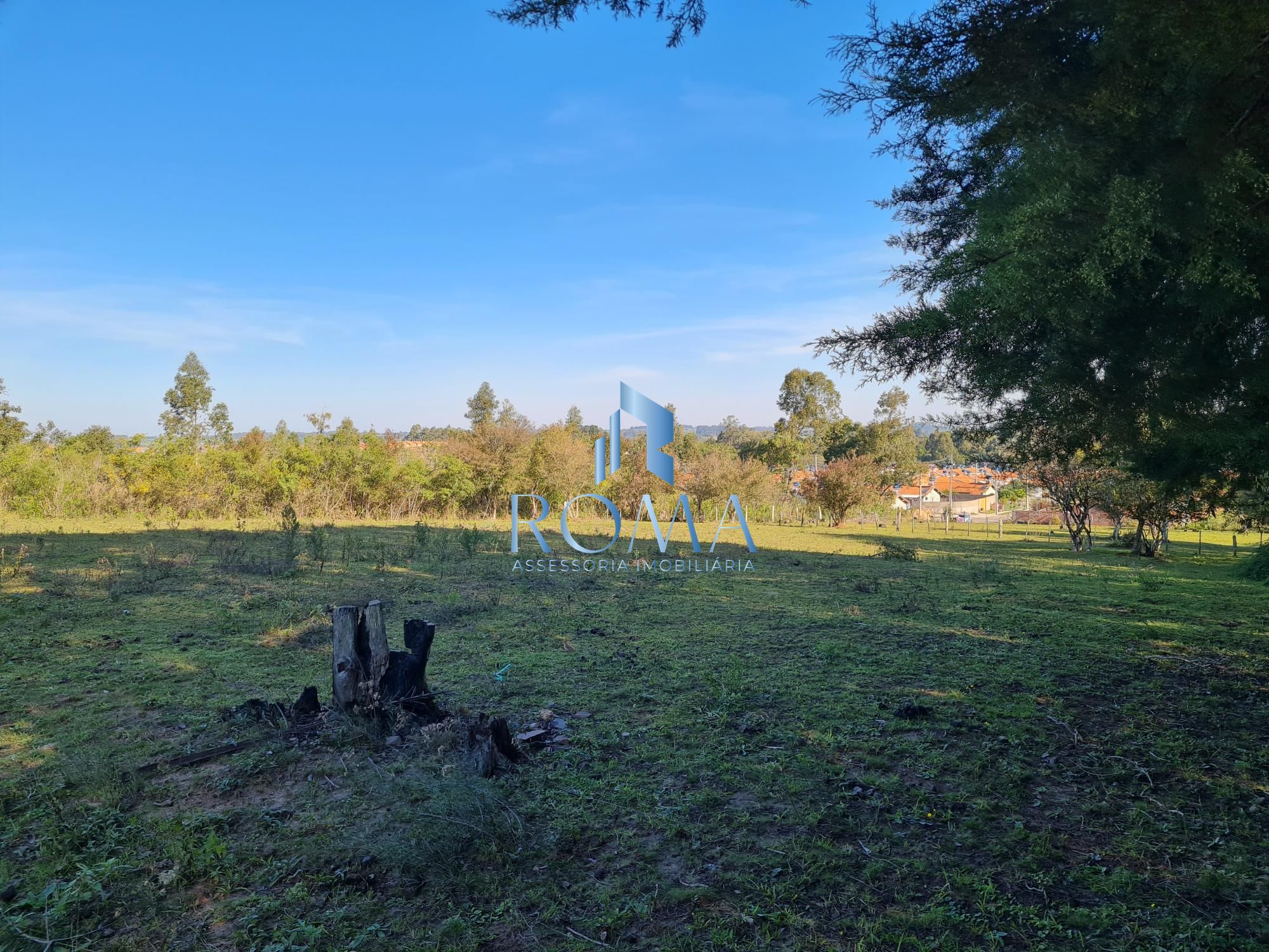 Chácara, 5000 m² - Foto 4