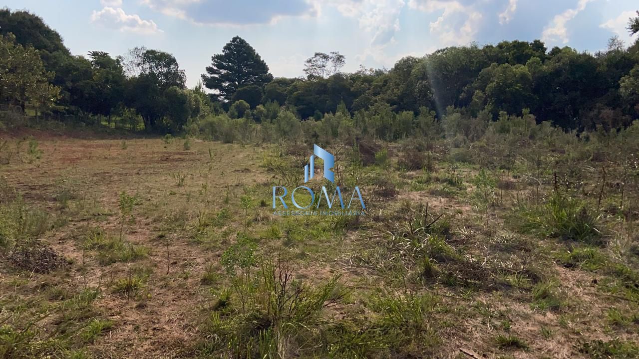 Terreno, 2000 m² - Foto 5