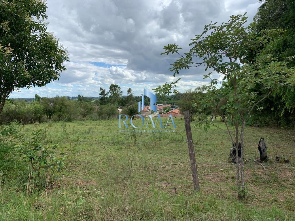 Chácara, 5000 m² - Foto 6