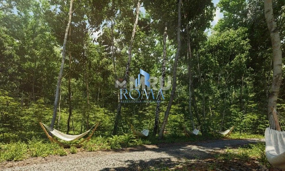 Terreno, 727 m² - Foto 6