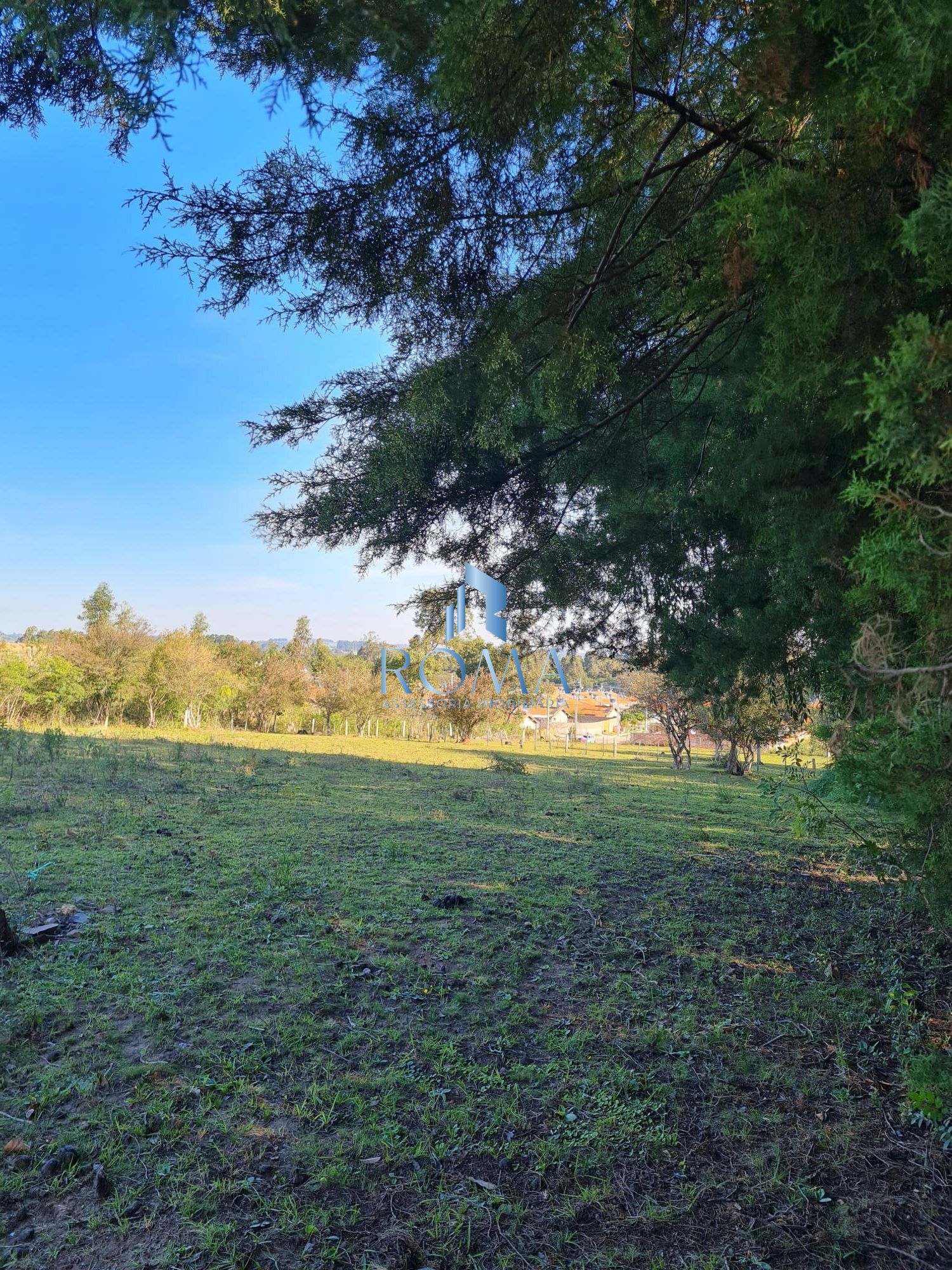 Chácara, 5000 m² - Foto 5