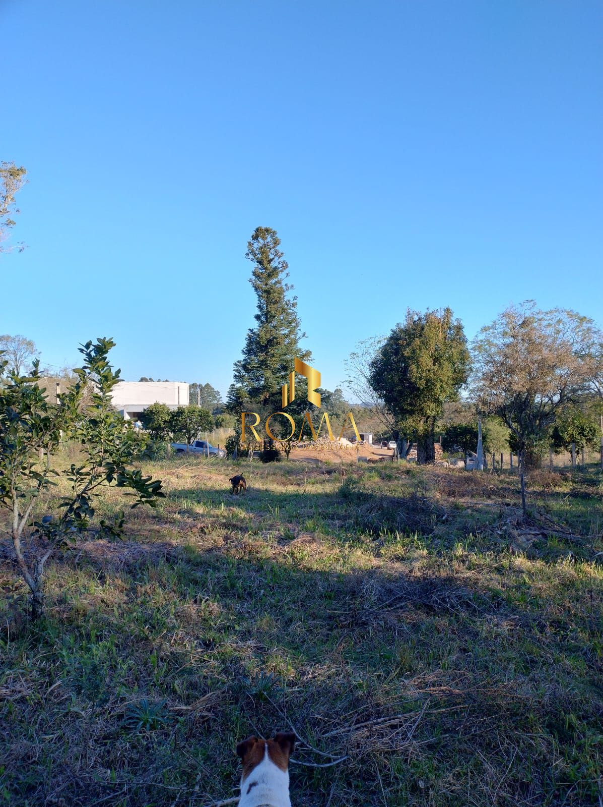 Terreno, 1200 m² - Foto 6