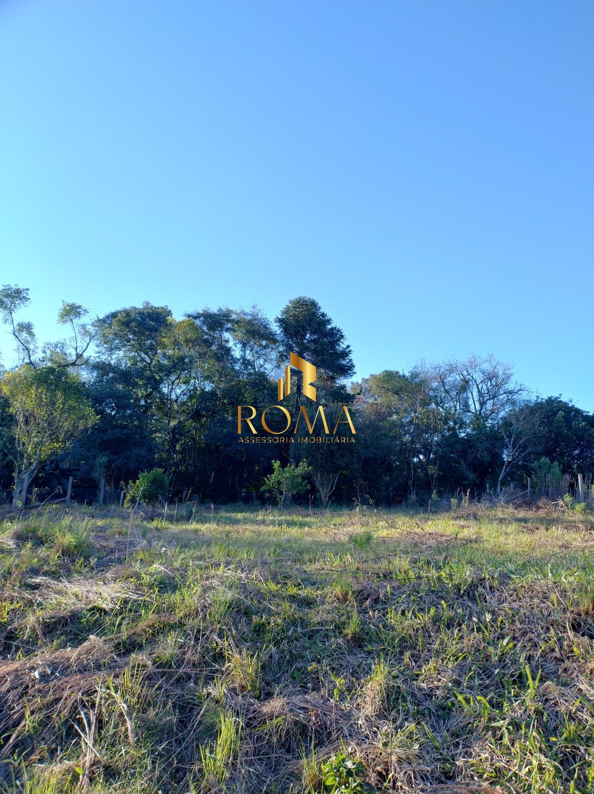Terreno, 1200 m² - Foto 7