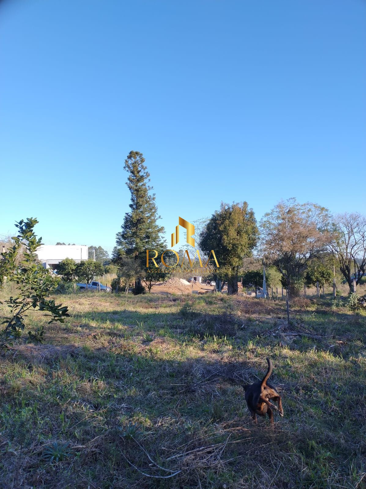 Terreno, 1200 m² - Foto 10