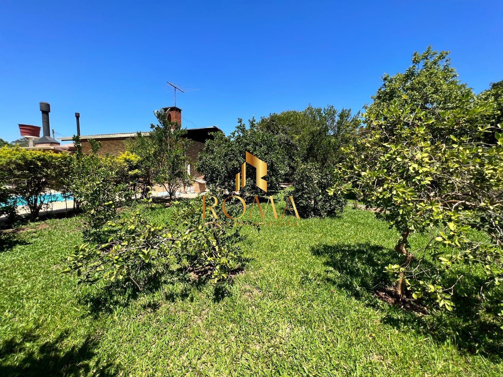 Sítio, 3 quartos, 5000 m² - Foto 17