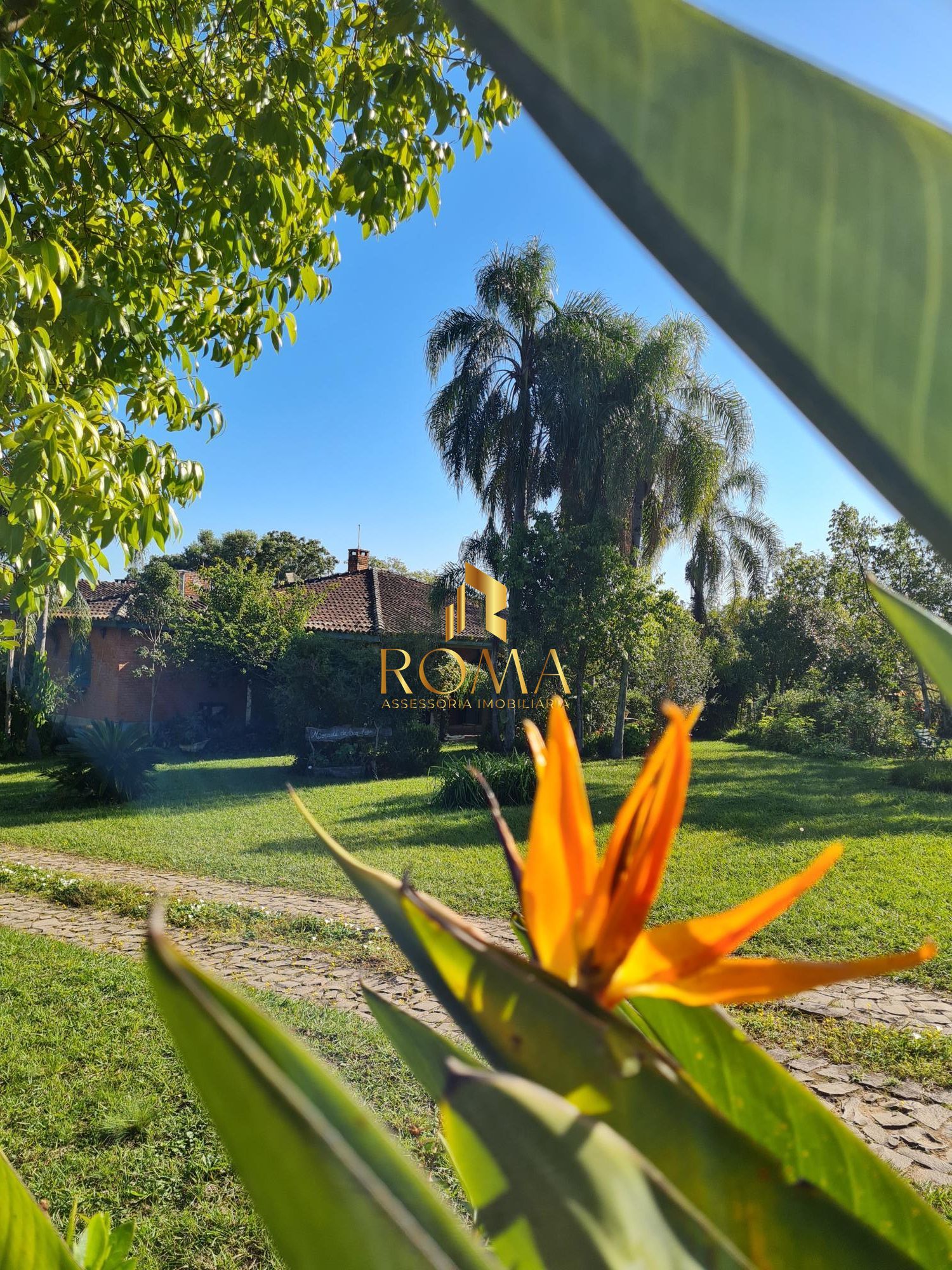 Chácara, 5 quartos, 2 hectares - Foto 4