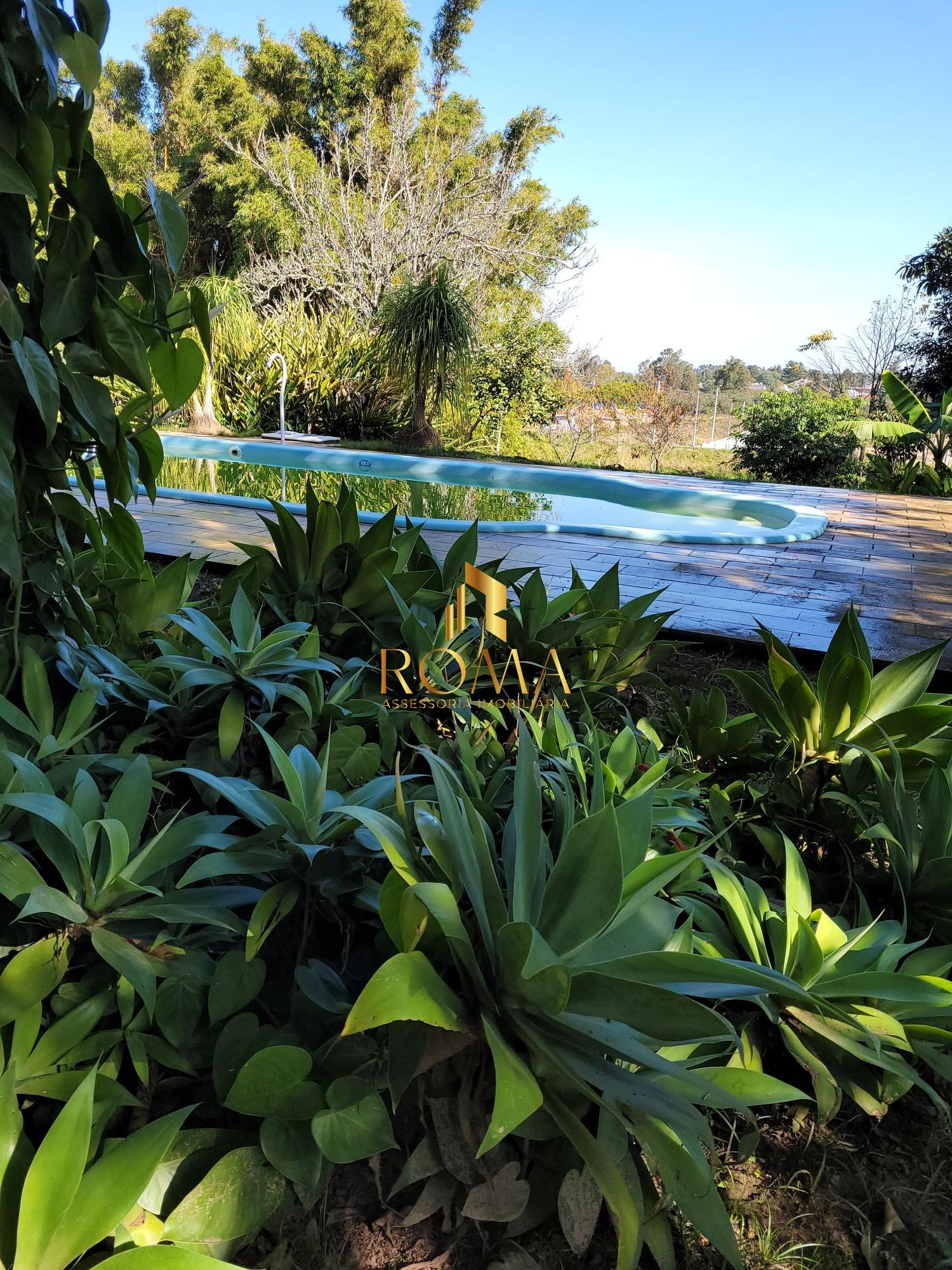 Chácara, 5 quartos, 2 hectares - Foto 16