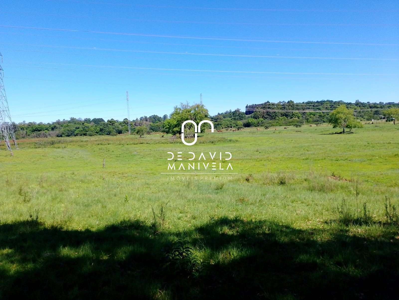 Terreno a venda na br 287