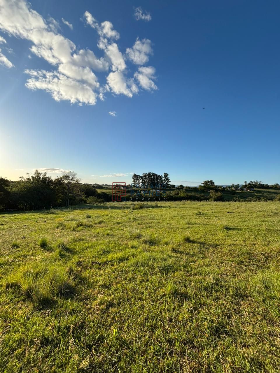 Chácara, 3 quartos, 2 hectares - Foto 28