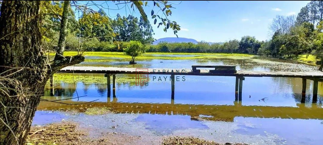 Chácara, 3 quartos, 4 hectares - Foto 13