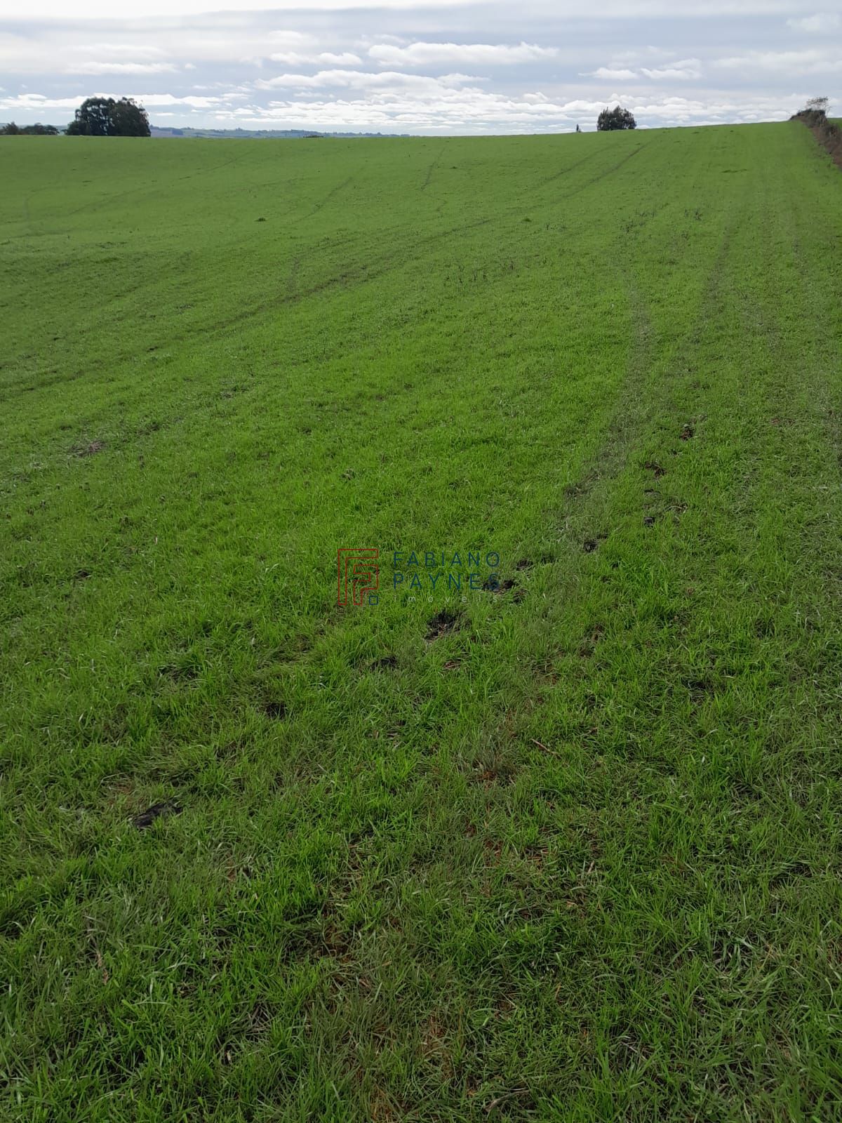Sítio, 15 hectares - Foto 1