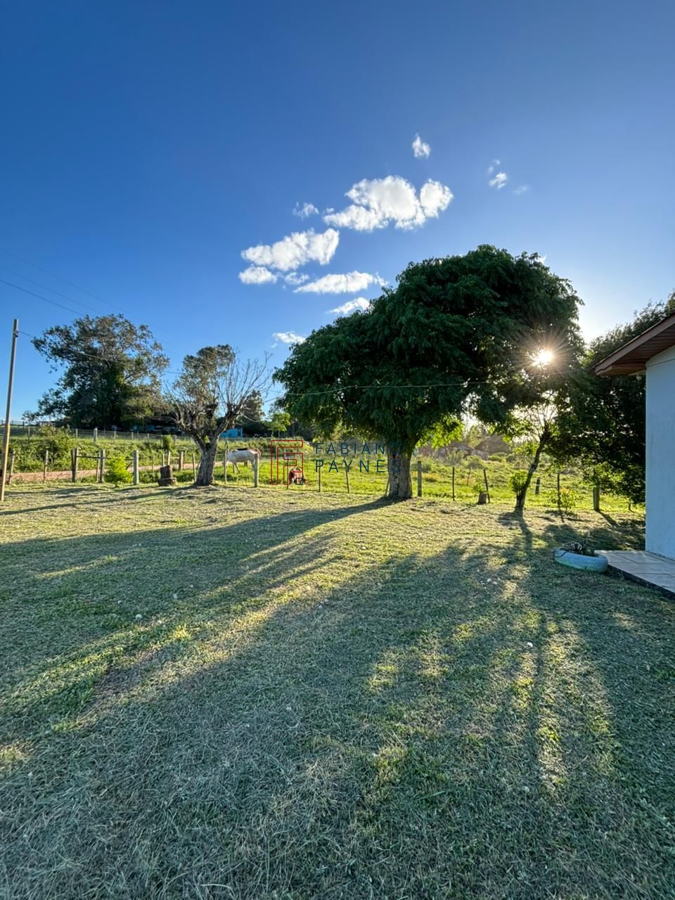 Chácara, 3 quartos, 2 hectares - Foto 26