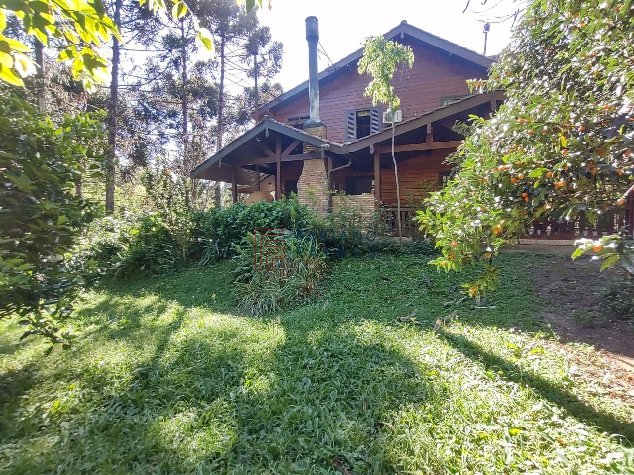 Chácara, 3 quartos, 4 hectares - Foto 29