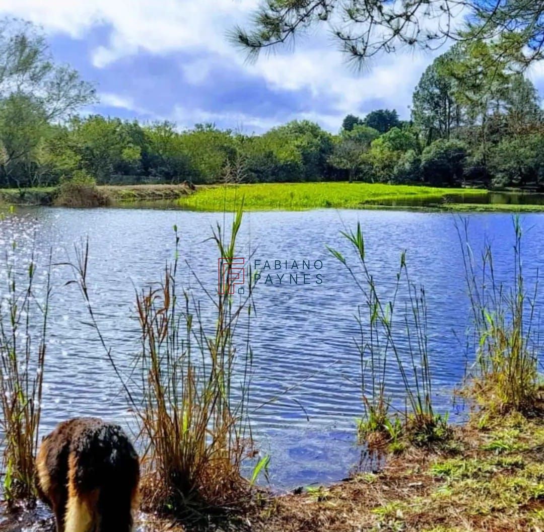 Chácara, 3 quartos, 4 hectares - Foto 14