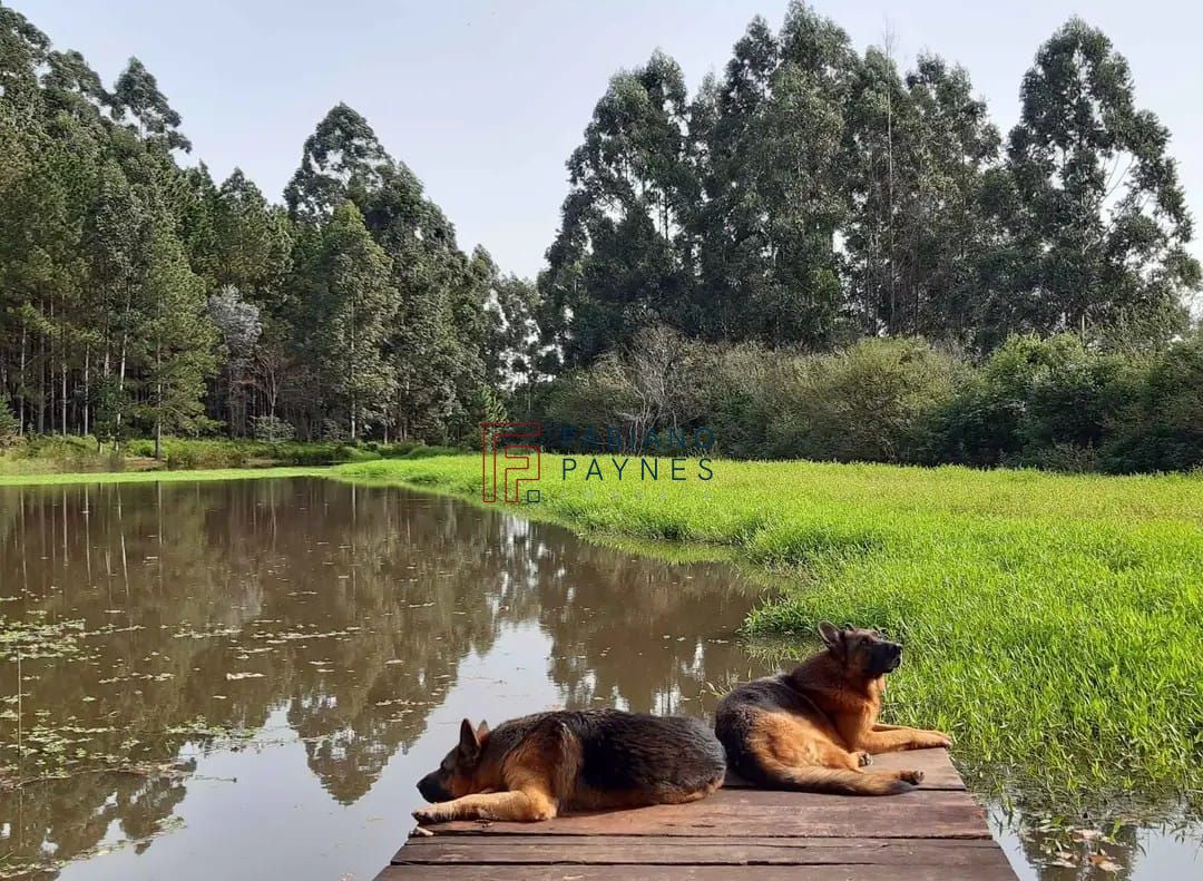 Chácara, 3 quartos, 4 hectares - Foto 12