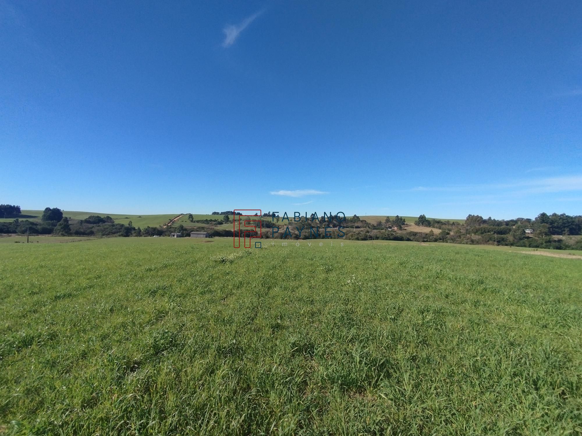 Fazenda, 20 hectares - Foto 1