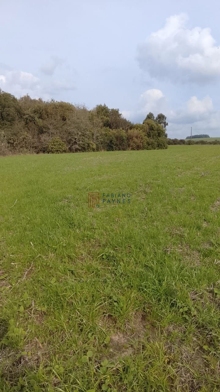 Fazenda, 20 hectares - Foto 3