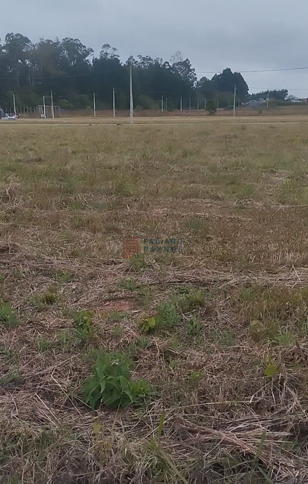 Terreno, 351 m² - Foto 1