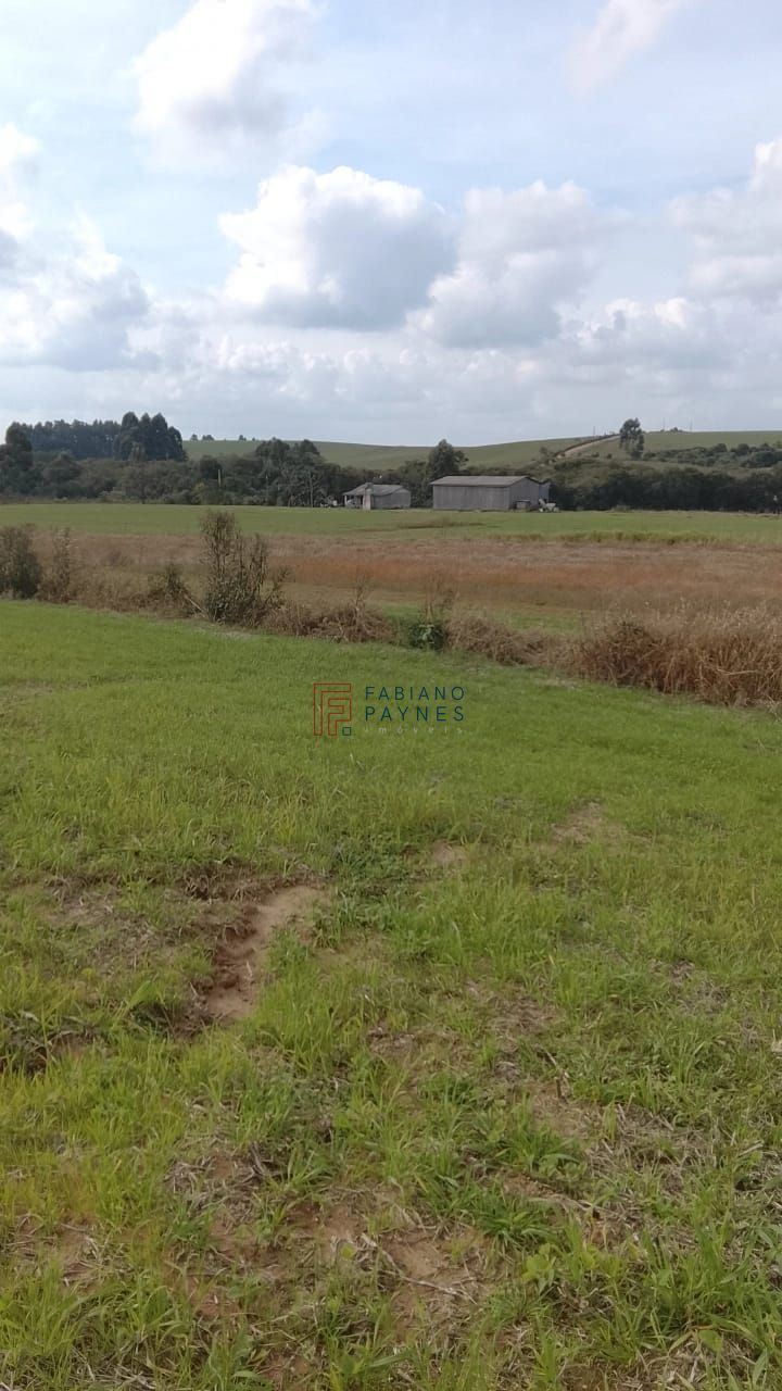 Fazenda, 20 hectares - Foto 4