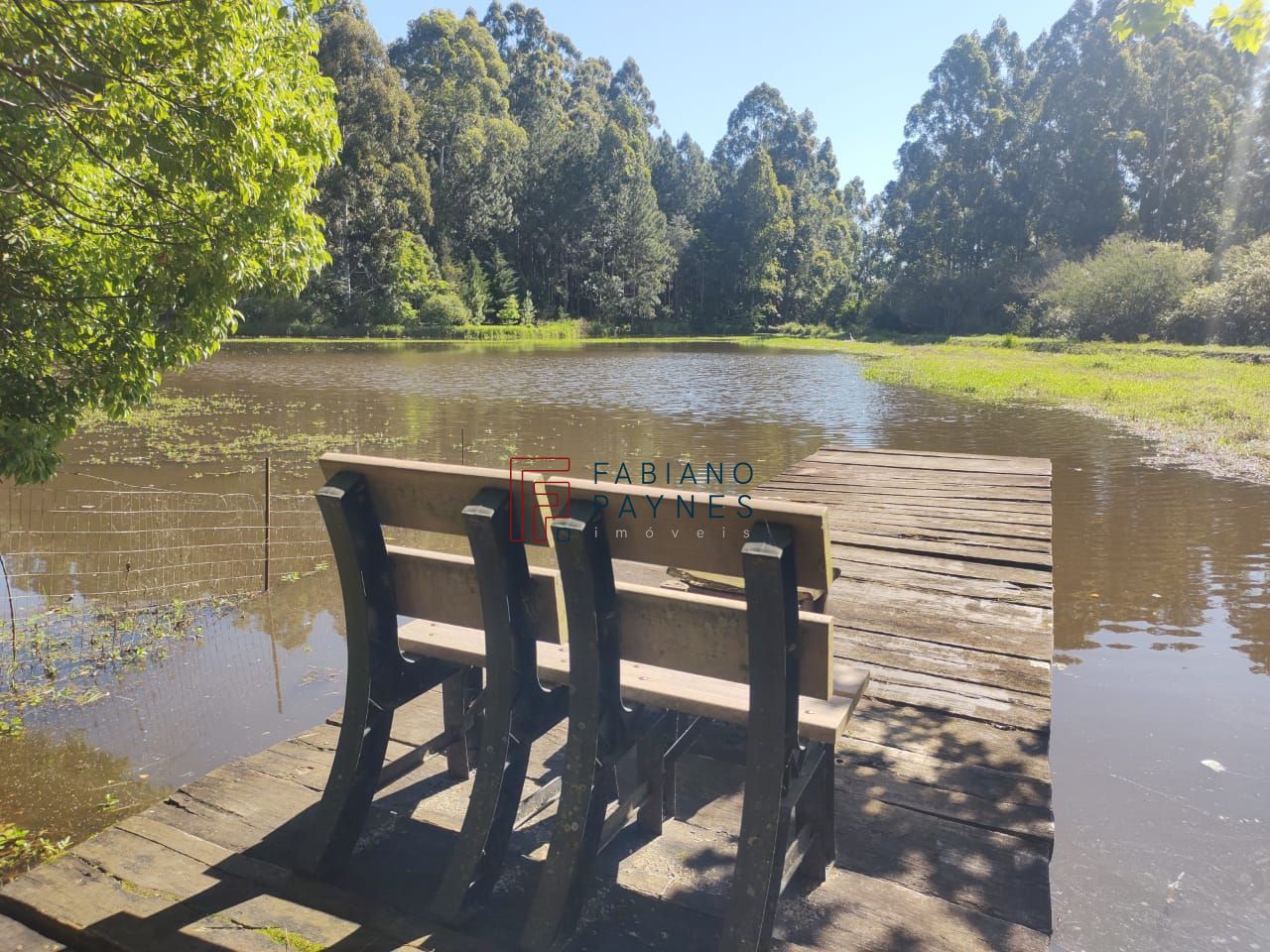 Chácara, 3 quartos, 4 hectares - Foto 16