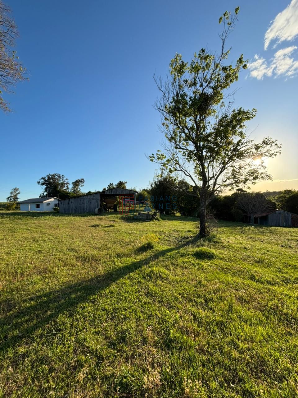 Chácara, 3 quartos, 2 hectares - Foto 23