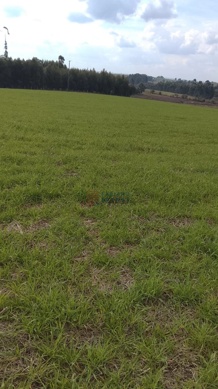 Fazenda, 20 hectares - Foto 12