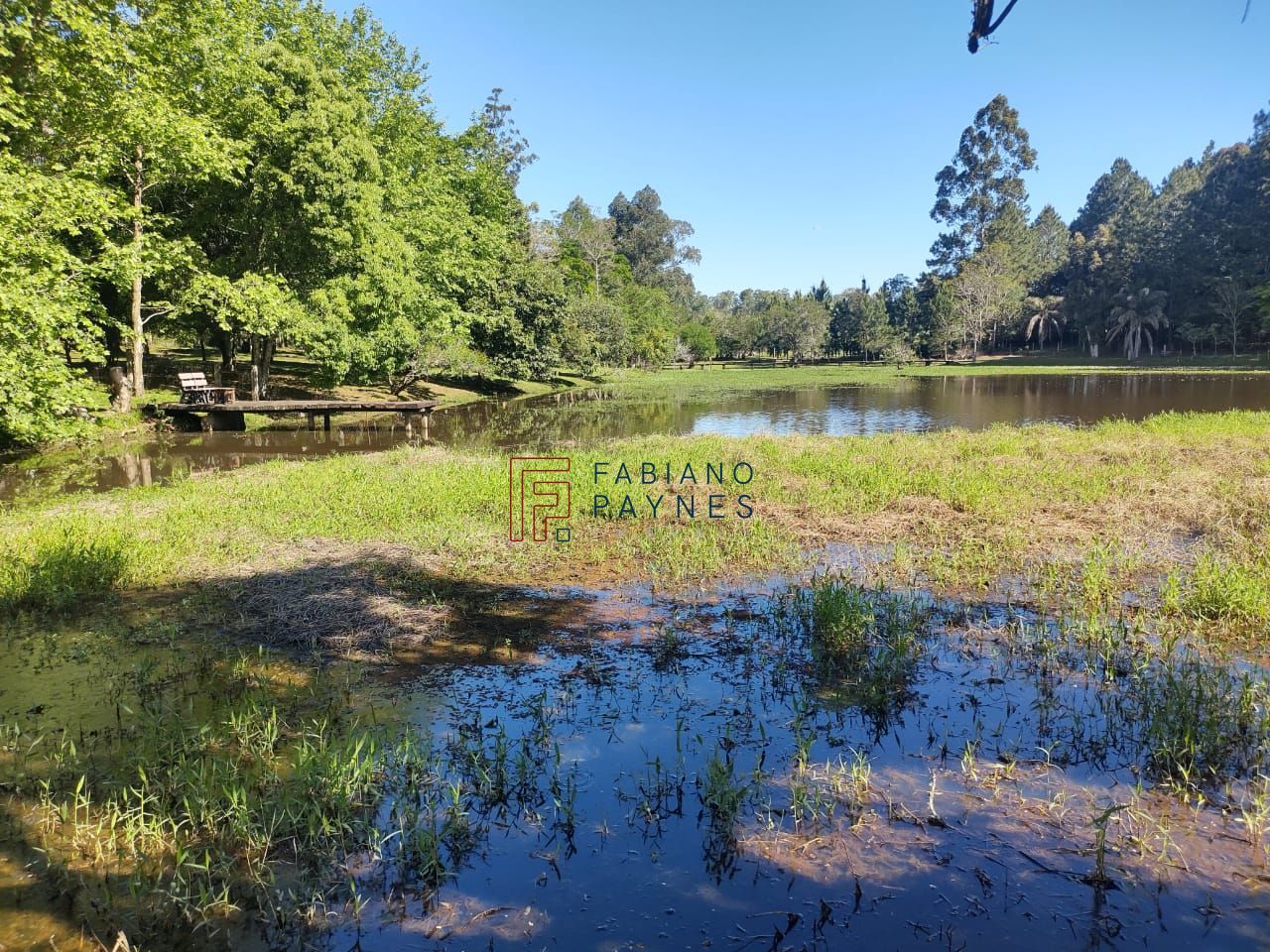 Chácara, 3 quartos, 4 hectares - Foto 17