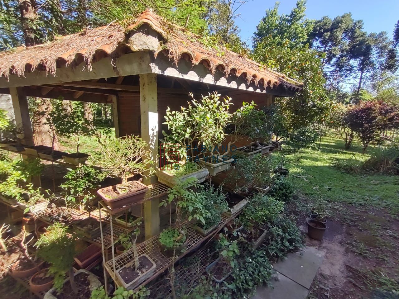 Chácara, 3 quartos, 4 hectares - Foto 36