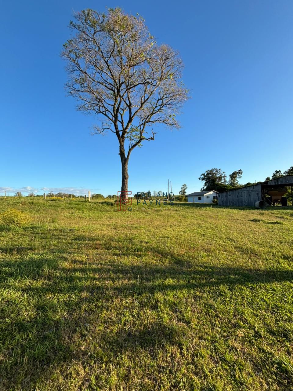 Chácara, 3 quartos, 2 hectares - Foto 27