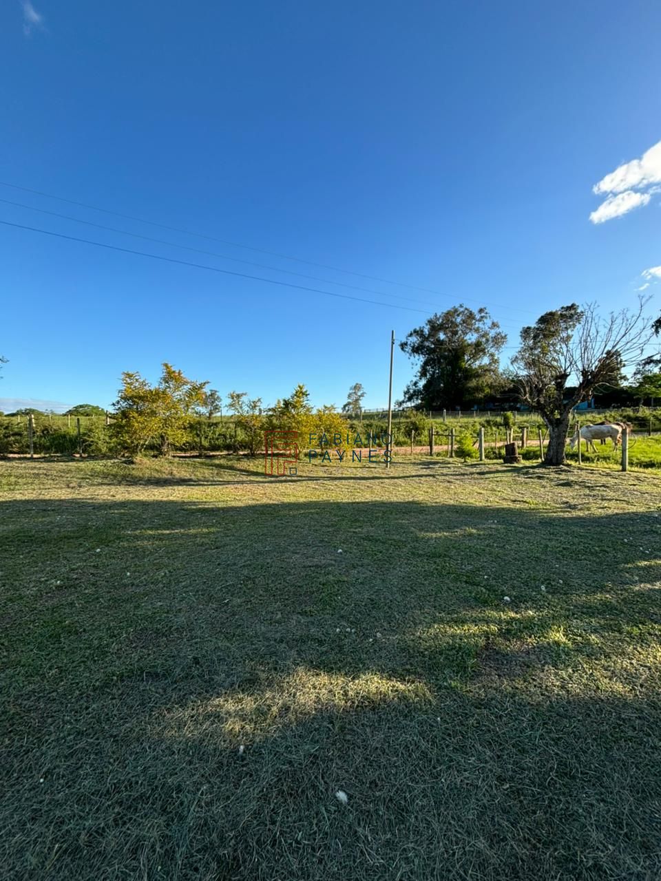 Chácara, 3 quartos, 2 hectares - Foto 24