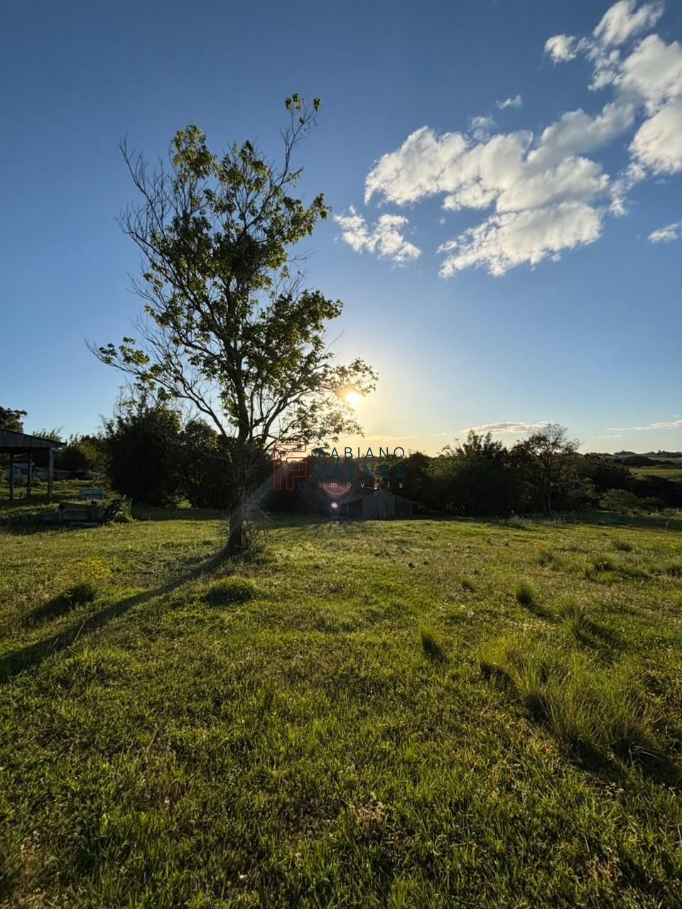 Chácara, 3 quartos, 2 hectares - Foto 25