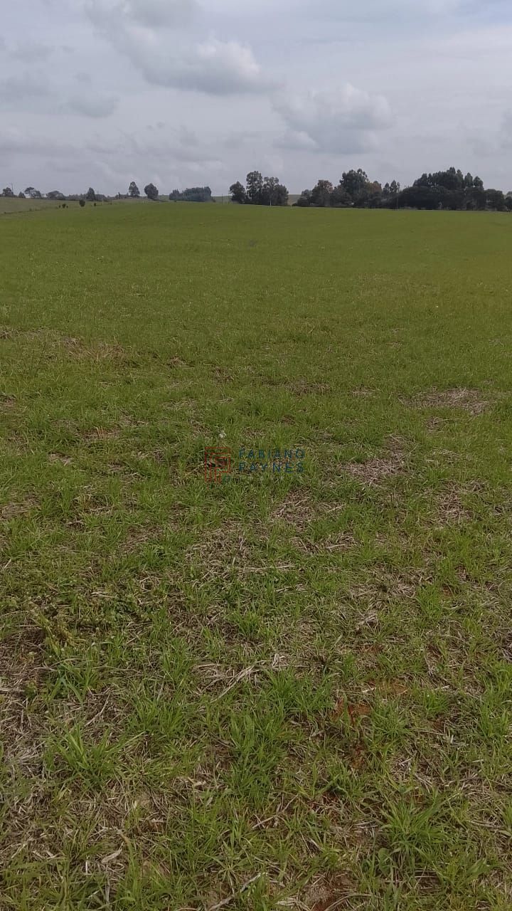 Fazenda, 20 hectares - Foto 10