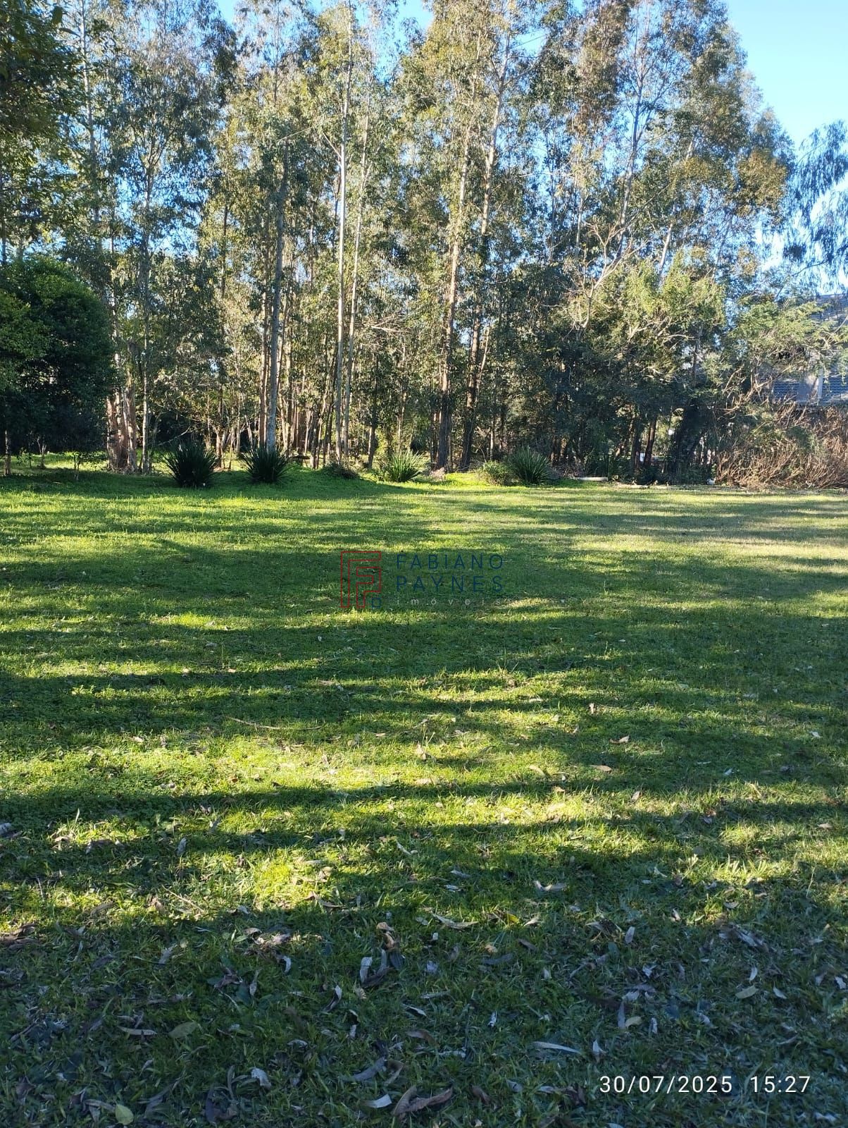 Chácara, 4 quartos, 5 hectares - Foto 12