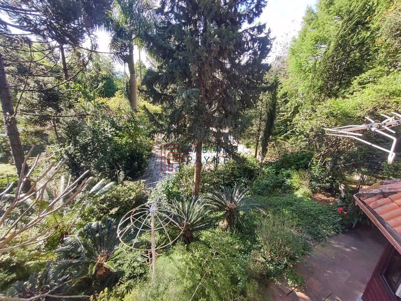 Chácara, 3 quartos, 4 hectares - Foto 26