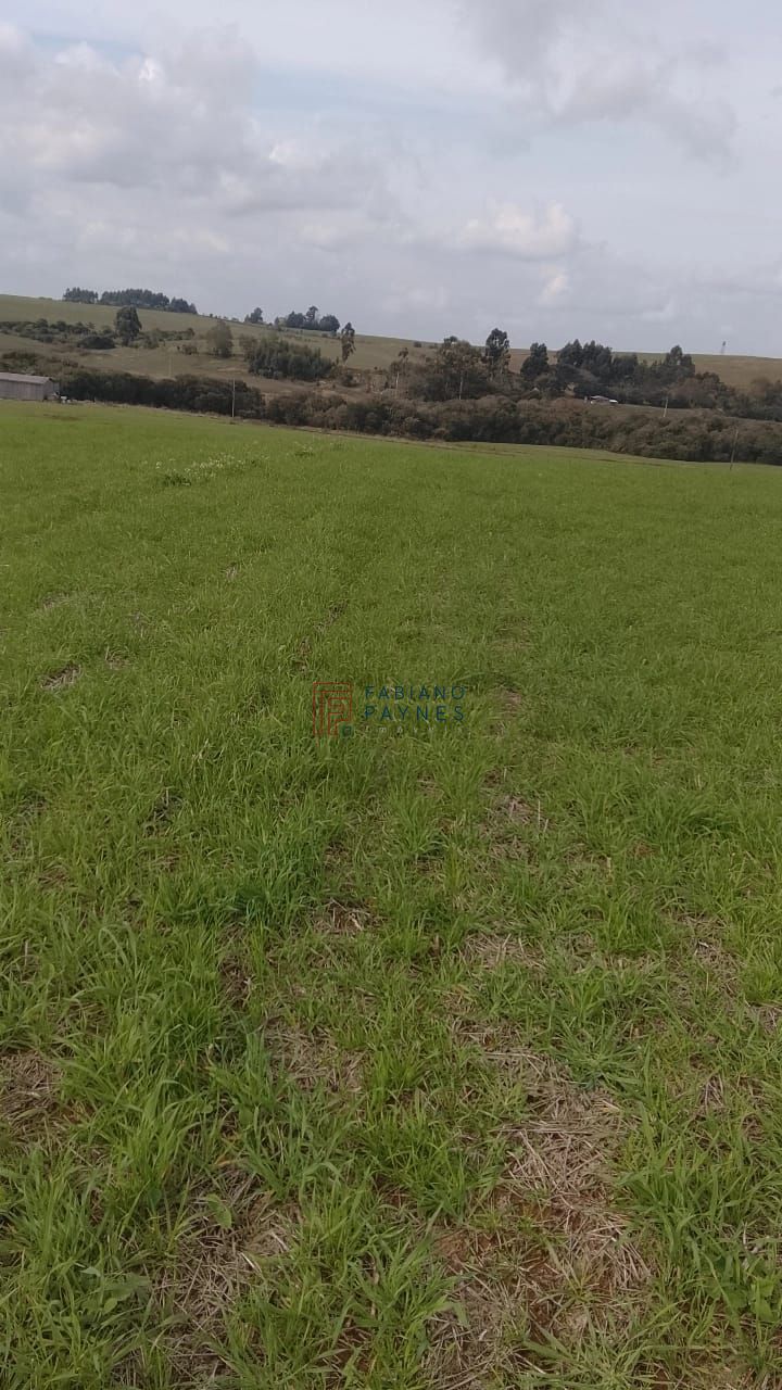 Fazenda, 20 hectares - Foto 7