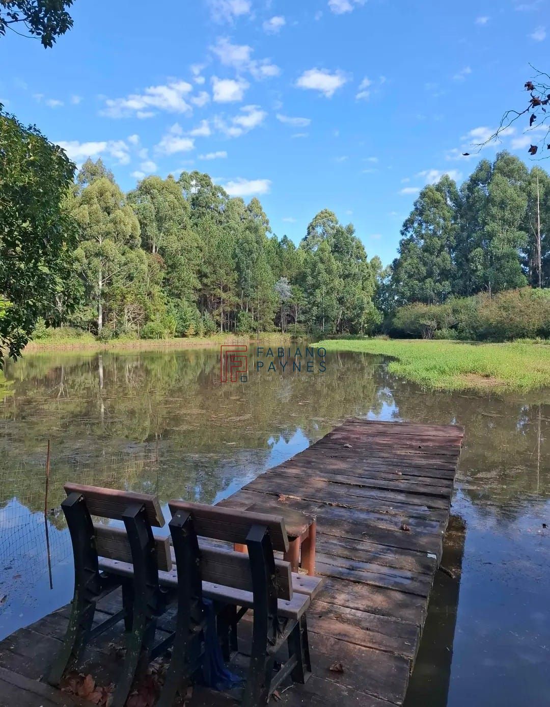 Chácara, 3 quartos, 4 hectares - Foto 15