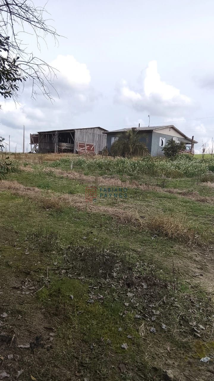 Fazenda, 20 hectares - Foto 9